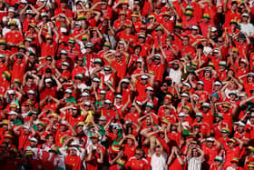 The red wall has followed Wales to Qatar