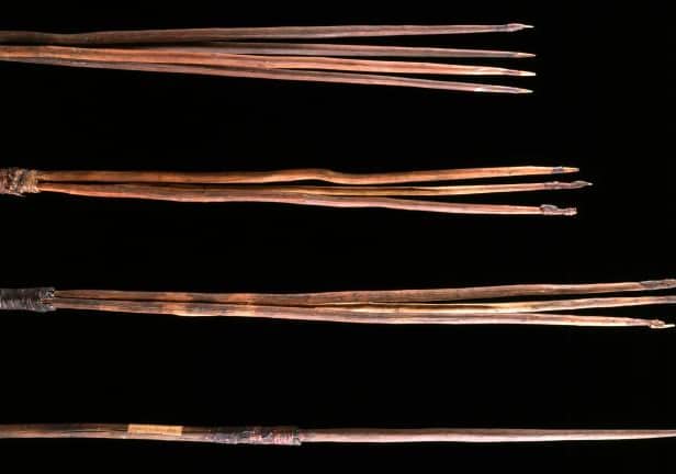 The spears that were taken by James Cook back in 1770 (Photo: Cambridge University)