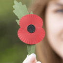 The new plastic-free poppy (Photo: Royal British Legion) 