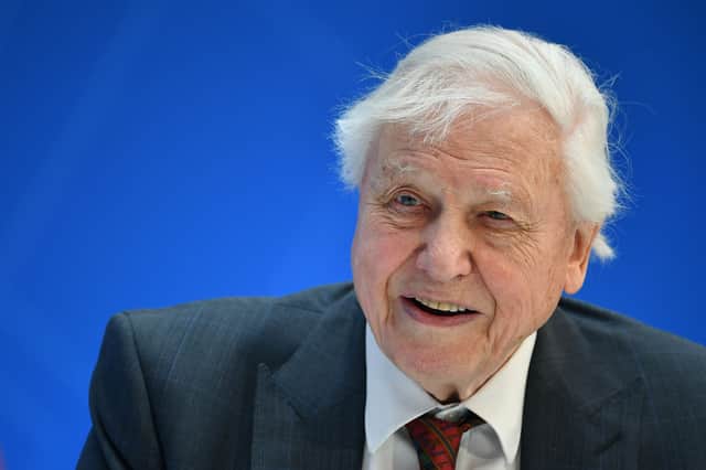 Broadcaster and naturalist David Attenborough (Image: Getty)