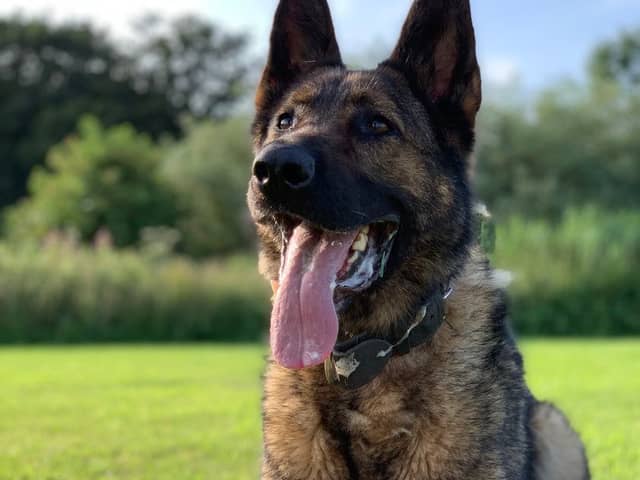 Retired PD Kato died from cancer with his family by his side.