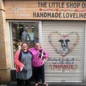 Lynette Parkinson and Jan Beal unveiling artwork to make you smile in James Lane, Lancaster.