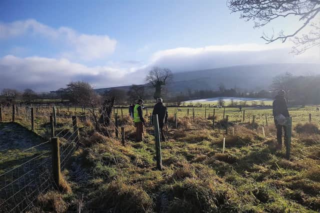 Tree planting in Downham, in the Ribble Valley