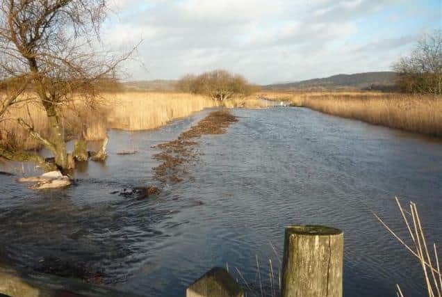 RSPB reserve at Leighton Moss, Silverdale
