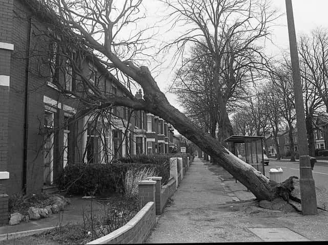 Damage to a house in Watling Street Road, Fulwood, Preston, where a tree was uprooted in the storm
