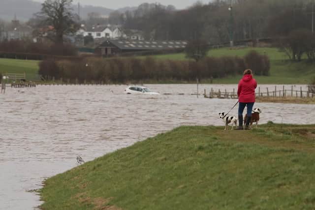 This photo by Robin Bamber shows the woman with her dogs after spotting her car cut off by the tide.