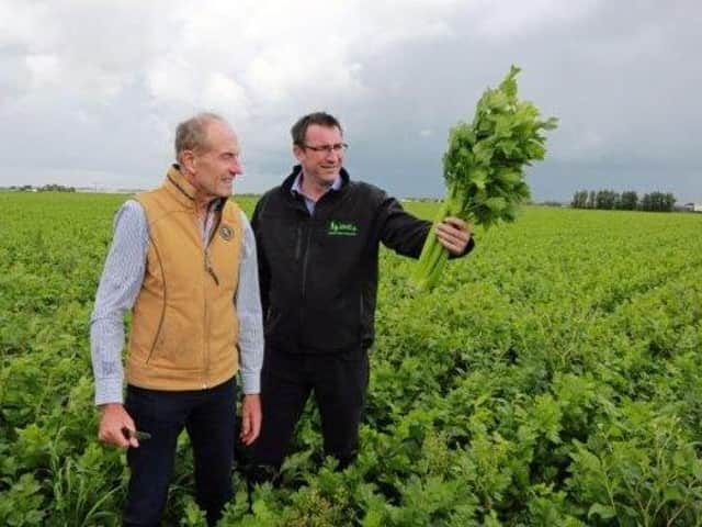 Ian Torley (right) and Len Wright of Len Wright Salads