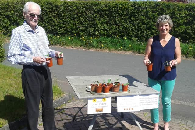 Jack and Sue Catlow pictured by their sunflower stand