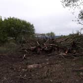 Trees were chopped down on the boundary of Freeman's Wood.