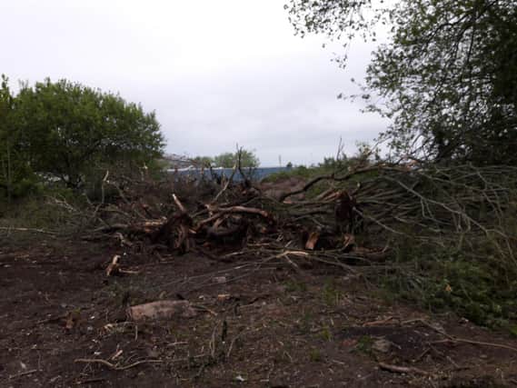 Trees were chopped down on the boundary of Freeman's Wood.
