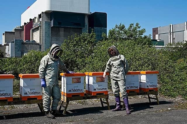 Kath and Simon Cordingley of the Bee Centre in front of hives in protective suits