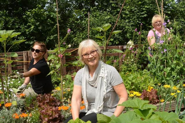 Headway vice chair Angela Sumner, front, admin support Maria Galvin, left, and volunteer Lynne Moran at Headway's allotment in Lancaster.