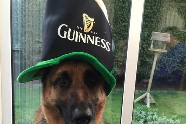Pluto is good for a Guinness photo