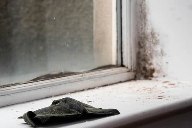 A wallet covered in moss whilst damp grows next to the window. Photo: Kelvin Stuttard
