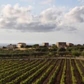 Wine producers in Sicily are creating some wonderful wines in this beautiful island landscape