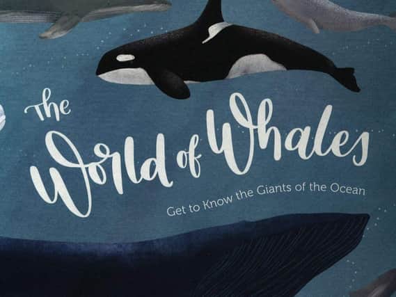 The World of Whales: Get to Know the Giants of the Ocean