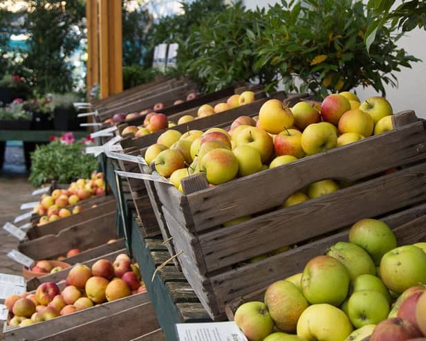 Beetham Nurseries has announced the return of Apple Weekend on October 10 and 11