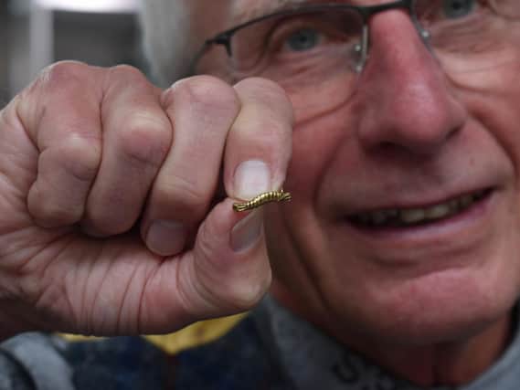 Valuer Ken Payne with the caterpillar pin.