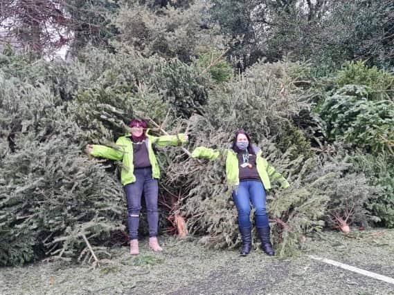 Fundraising staff with the Chjristmas trees.