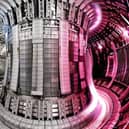 A nuclear fusion plant