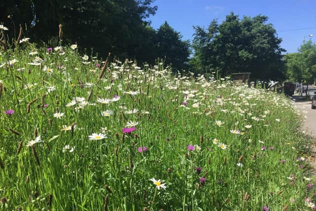 Lancaster City Council is set to implement a new grassland management strategy that will see changes to the way grass is cut in parks and public spaces across the district.