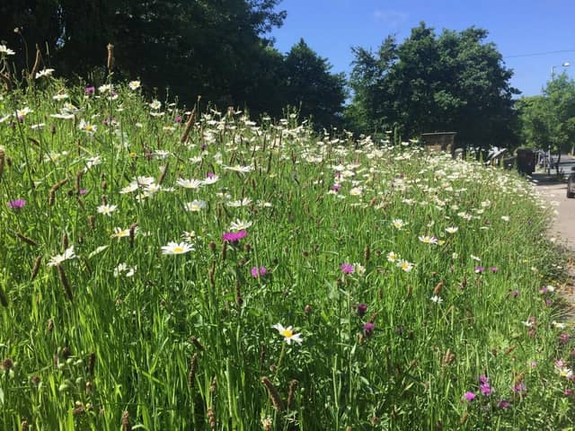 Lancaster City Council is set to implement a new grassland management strategy that will see changes to the way grass is cut in parks and public spaces across the district.