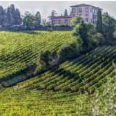 A vineyard in Tuscany, where one of Tom’s favourite wines – Sassicaia – comes from Pictures: MAKSROSSI/PIXABAY