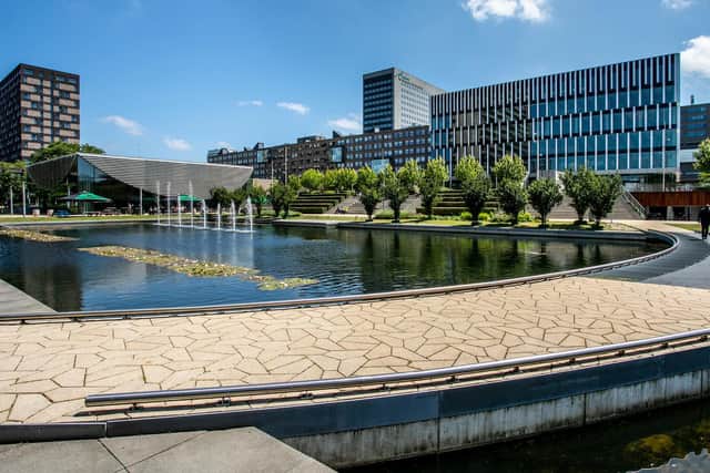 Rotterdam School of Management, Erasmus University.