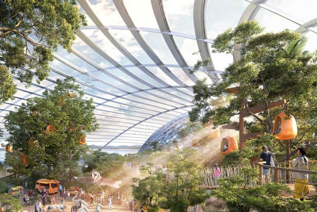 An artist's impression of how the interior of Eden Project North could look.