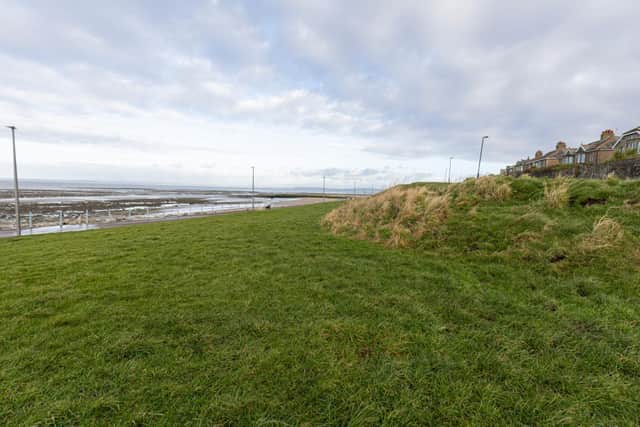 The habitat will be spread across sites in and around the town, located at sites including Sunny Slopes in Heysham, one of the main gateways on to the promenade, as well as West End Gardens and Happy Mount Park.