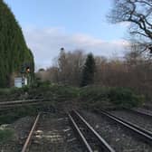 A number of trees have fallen onto tracks in Greater Manchester and Cheshire, blocking the railway at Rose Hill Marple, Gatley and Macclesfield