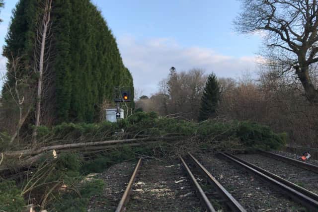 A number of trees have fallen onto tracks in Greater Manchester and Cheshire, blocking the railway at Rose Hill Marple, Gatley and Macclesfield