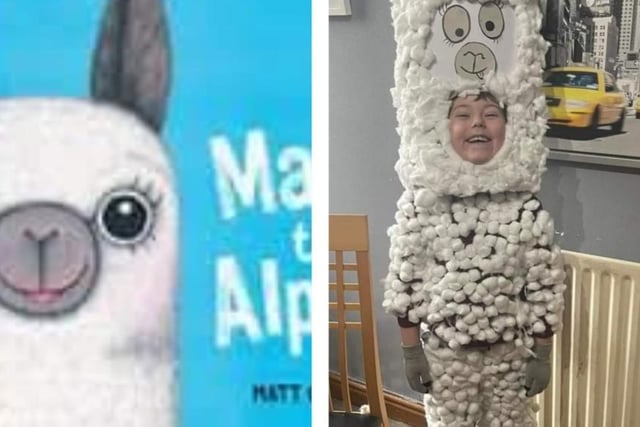 Diane Wilson shared a photo of her grandson Oliver as Macca the Alpaca.