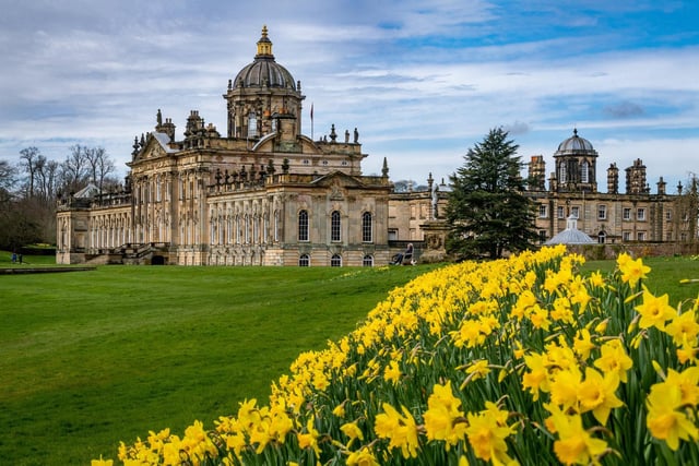 If Castle Howard wasn’t already a spectacular sight to behold, it is even more impressive during the spring season when the gardens are transformed by the brilliant yellow of daffodils.