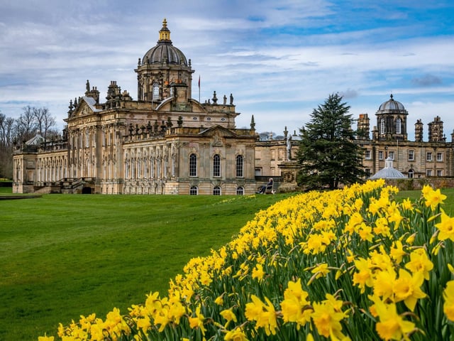 If Castle Howard wasn’t already a spectacular sight to behold, it is even more impressive during the spring season when the gardens are transformed by the brilliant yellow of daffodils.