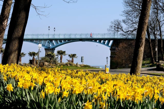 Valley gardens were originally known as the People’s Park, built in 1860 before Valley Bridge was erected. Hosting some of the most impressive patches of daffodils in the town, Valley Gardens are part of the Scarborough Daffodil Trail. The springtime spectacular follows a route around the town.