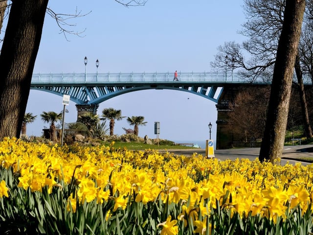 Valley gardens were originally known as the People’s Park, built in 1860 before Valley Bridge was erected. Hosting some of the most impressive patches of daffodils in the town, Valley Gardens are part of the Scarborough Daffodil Trail. The springtime spectacular follows a route around the town.