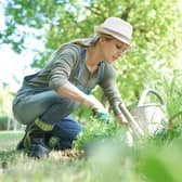 As May kicks in, green-fingered Brits have been given a list of essential gardening jobs to get done during May