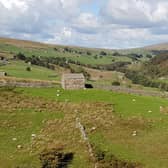 A view over Swaledale.