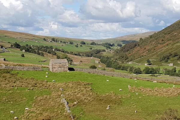 A view over Swaledale.