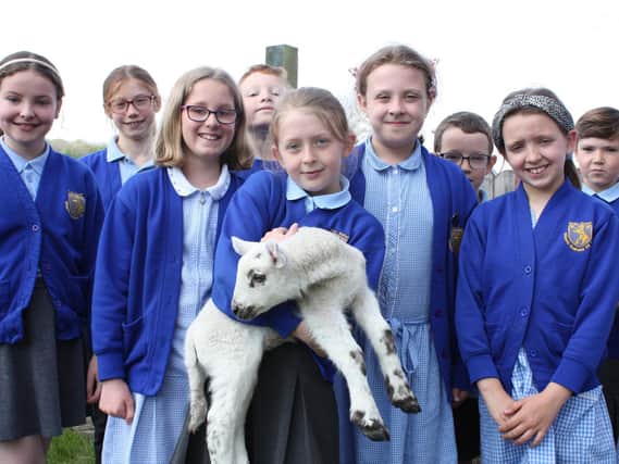 Children at Wilson's Endowed CE School in Over Kellet with one of the visiting lambs. Photo by Darren Newiss