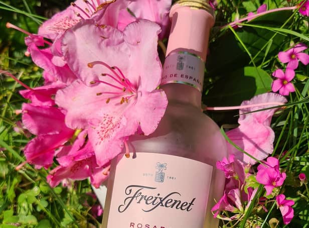 Freixenet Rosado is a tasty pink from Spain and it was perfectly pretty alongside the early summer rhododendrons