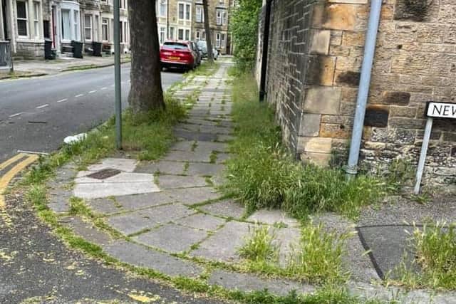 Some of the weeds in Morecambe highlighted by Coun Charlie Edwards last week.
