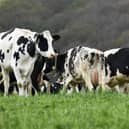 Farmers and walkers are being warned of the dangers of livestock ahead of an expected of an expected rise in visits to the Lancashire countryside.