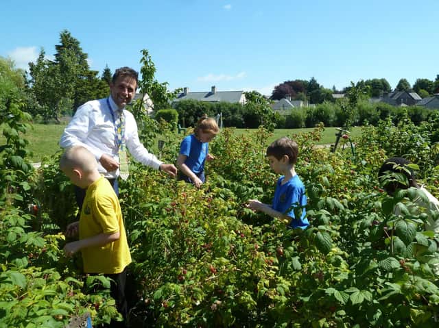 Willow Lane head Mel MacKinnon with children foraging for raspberries.