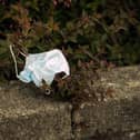 A discarded PPE (personal protective equipment) face mask is pictured littered in a hedgerow. Wilko Lancaster is running a scheme where customers can recycle used facemasks at the store. (Photo by Oli SCARFF / AFP) (Photo by OLI SCARFF/AFP via Getty Images)