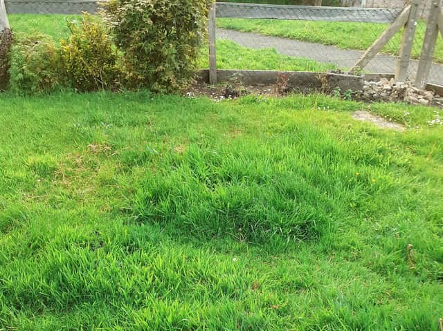 Uncut grass in a garden in Artlebeck Road, Caton.