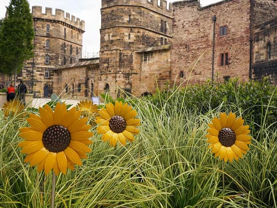 St John’s Hospice has unveiled their beautiful steel sunflower display at Lancaster Castle.
