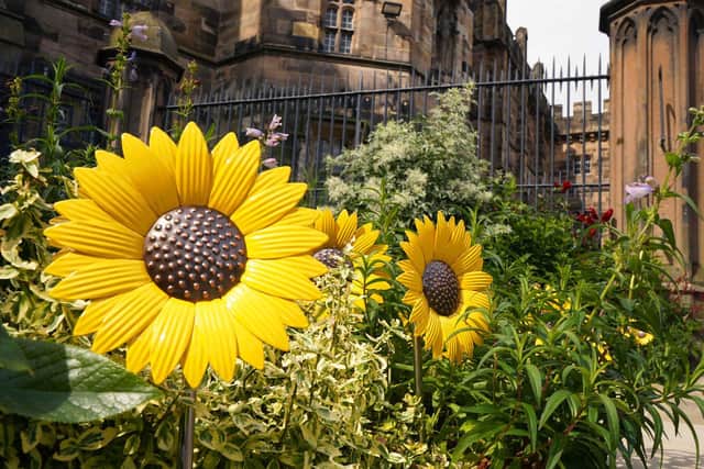 Part of the steel sunflower display at Lancaster Castle.