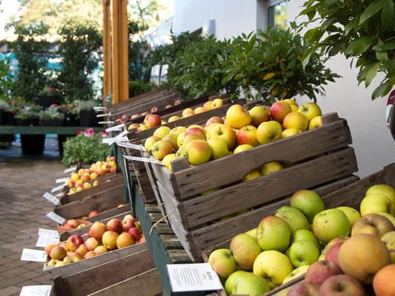 Beetham Nurseries is hosting an apple weekend for the whole family to enjoy.